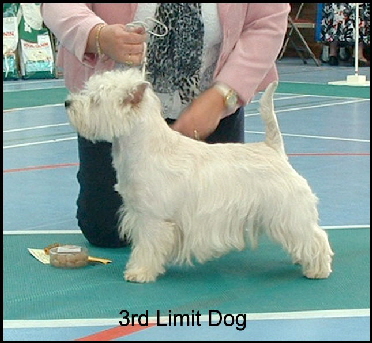 2008 3LD
