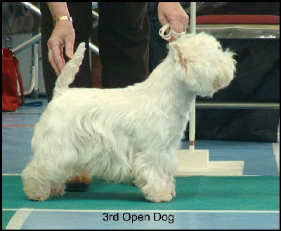 2008 3OD