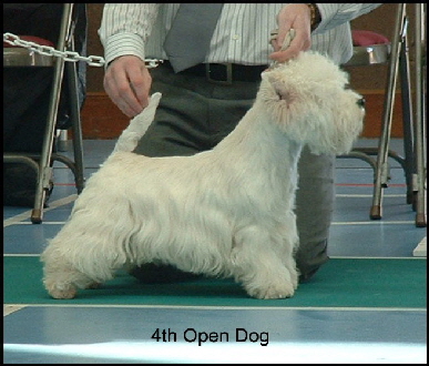 2008 4OD