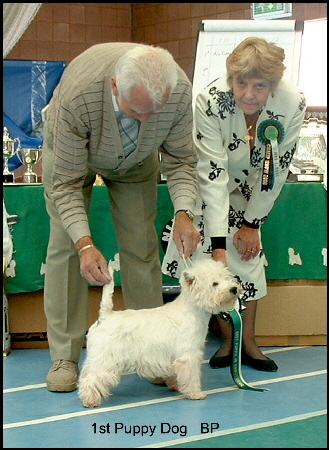 2008 BP