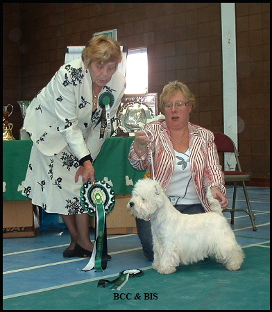 2008 bb