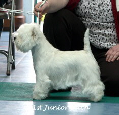 2009 1jb