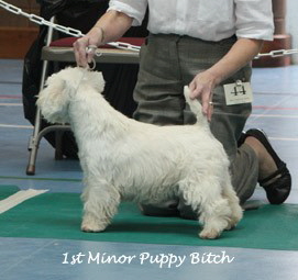2009 1mpb