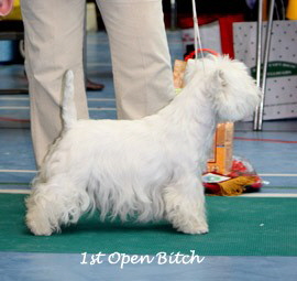 2009 1ob