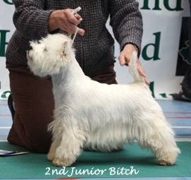 2009 2jb