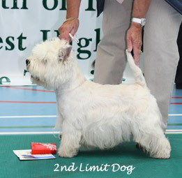 2009 2ld
