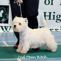 2009 2ob