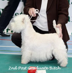 2009 2pgb