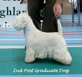 2009 2pgd