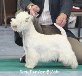 2009 3jb