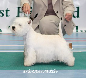 2009 3ob
