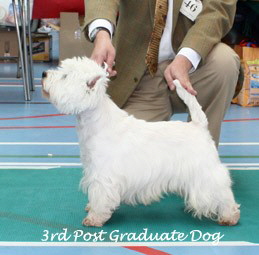 2009 3pgd