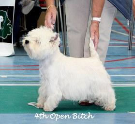 2009 4ob