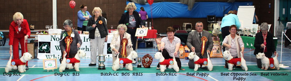 2009 BIS line up