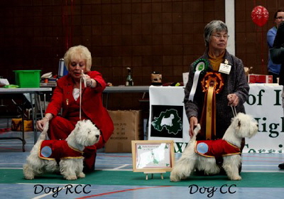2009 DCC & RCC