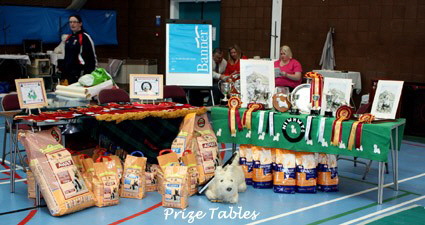 2009 Prizes