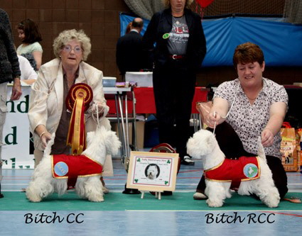 2009 bcc&rcc
