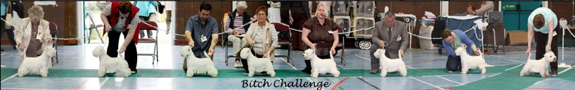 2009 bitch challenge
