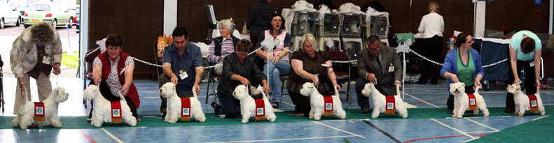 2009 bitches with sashes