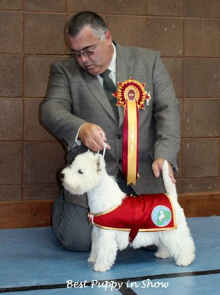 2009 bp