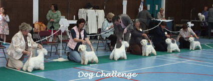 2009 dod challenge
