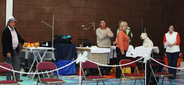 2009 ringside 3
