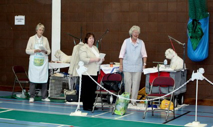 2009 ringside