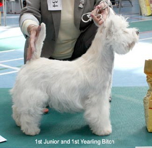 2010 1jb