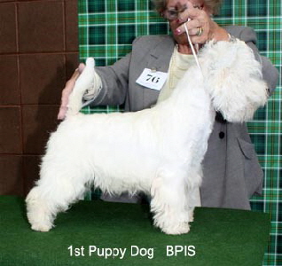 2010 1pd