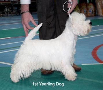 2010 1yd