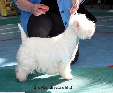 2010 2pgb