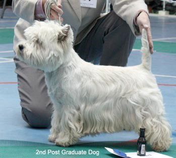 2010 2pgd