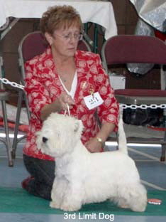 2010 3ld