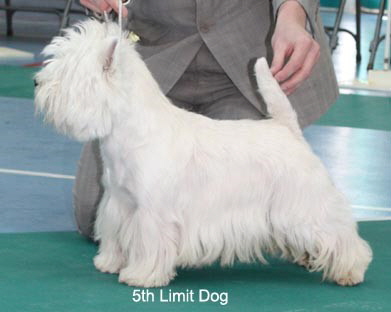 2010 5ld