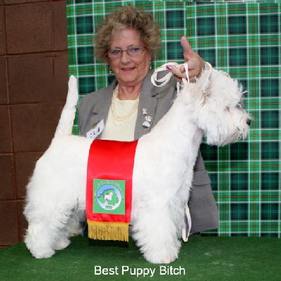 2010 BPB