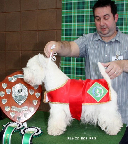 2010 bcc