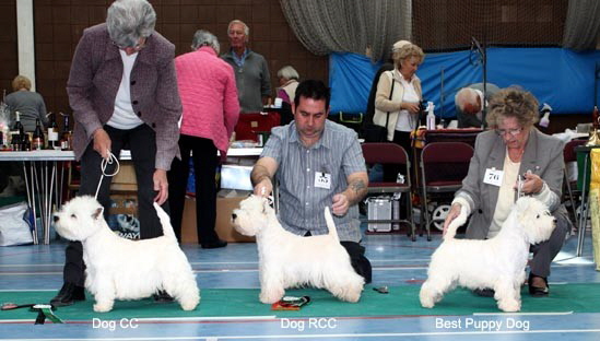 2010 dog line up