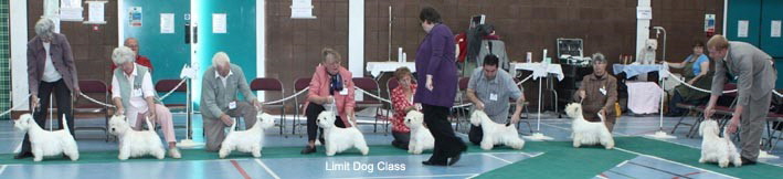 2010 ld class