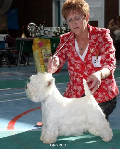 2010 rbcc