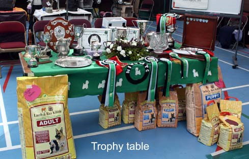 2010 trophy