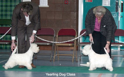 2010 yd class