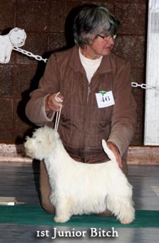 2011 1st_Junior_Bitchweb