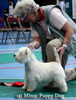 2011 1st_MPDweb
