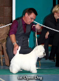 2011 1st_Open_Dogweb1