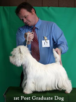 2011 1st_PG_Dogweb
