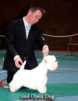 2011 2nd_Open_Dogweb2