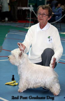 2011 2nd_PG_Dogweb