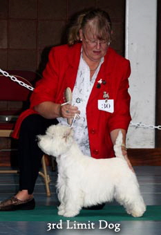 2011 3rd_Limit_Dogweb