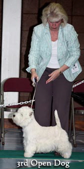2011 3rd_Open_dogweb