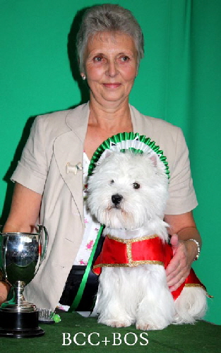 2011 BCC_BOSWEB